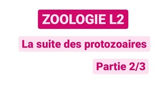 Zoologie L2  Chapitre quotles Sarcomastigophoraquot partie 12 [upl. by Adnalor]