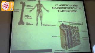 Histología  Tejido Cartilaginoso y Oseo [upl. by Stacee]