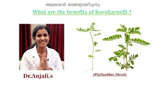 Benefits of Keelanelli  DrAnjali [upl. by Fortunia]