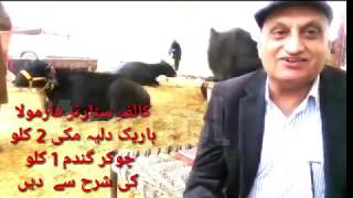 Drkhalid pervez about calf starter of anmol ڈاکٹر خالد پرویز کے جس کالف سٹارٹر پر انمول کٹا پلا [upl. by Armstrong]