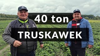 40 ton z każdej plantacji truskawek  Zbyszek Marek [upl. by Billmyre101]