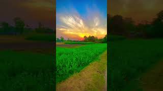 Good morning shortvideo viralshort bhojpurimusicofficial pawansingh couplestatus whatsapp [upl. by Yrrot]