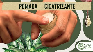 Como fazer pomada cicatrizante Pode ser usada em bebês [upl. by Brittain649]