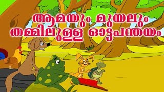 ആമയും മുയലും ഓട്ടമത്സരം  Rabbit And Tortoise in Malayalam Kids Story  Aamayum Muyalum Moral Story [upl. by Annaya631]