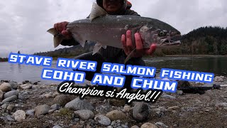 STAVE RIVER SALMON FISHING  COHO AND CHUM salmonfishing cohosalmon chumsalmon [upl. by Carlen]