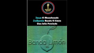 KARAOKE DEMO EL ABANDONADO BANDA EL LIMÓN CON JULIO PRECIADO [upl. by Omixam448]