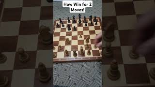 How WIN Chess in 2 Moves Trap Sicilian Defense chess shorts [upl. by Heddi]