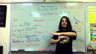 Lesson 12 Lines Number Lines and Tally Marks [upl. by Rolat]