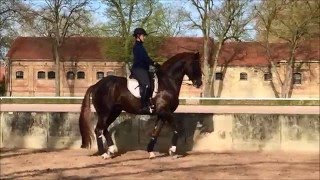 DANKESCHÖN im Training mit Henrike Sommer [upl. by Nawud]