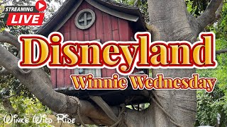 LIVE Disneyland Live Stream Winnie Wednesday [upl. by Glennon]