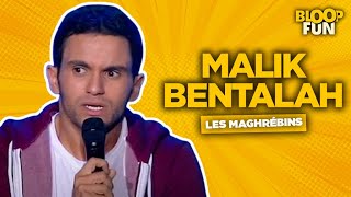 Malik Bentalah  LES MAGHRÉBINS  Bentalah se la raconte [upl. by Enilada]