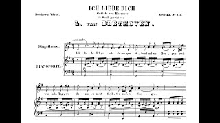 Ich liebe dich Beethoven  G Major Piano Accompaniment  Karaoke [upl. by Kata]