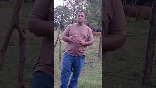 PASTOR ALEX ORANTES SALMOS 2710 📖⚘️🌿🌾Shortviral News Short Reflexiones palabrasdevida [upl. by Fransis]