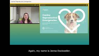 Canine Reproductive Emergencies  Canine Health Summit 2022  Embark for Breeders [upl. by Mcroberts]