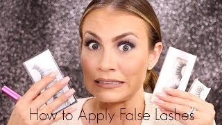 How To Apply False Lashes  Tutorial for Beginners  Angela Lanter [upl. by Gusba]