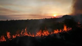 La déforestation de lAmazonie a augmenté de 88 en un an [upl. by Palmer]