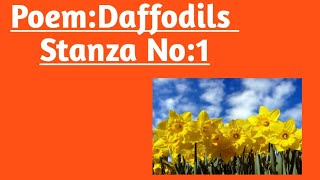 Poem DaffodilsPoem Daffodils paraphrasingPoem Daffodils Stanza no 1 [upl. by Esac611]