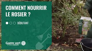 TUTO Comment nourrir le rosier  – Jardinerie Gamm vert [upl. by Vi156]