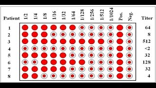 Introduction to Agglutination  التراص أو التلازن [upl. by Aihsemak]