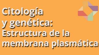 Estructura de la membrana plasmática  Citología y Genética  Educatina [upl. by Che]