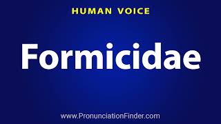 How To Pronounce Formicidae [upl. by Luoar]