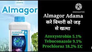 Almagor fungicide Adama agriculture Azoxystrobin 51 Tebuconazole 91Prochloraz 182 Ec [upl. by Soph]