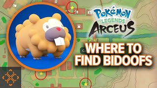 Pokemon Legends Arceus  Bothersome Bidoof Locations Guide [upl. by Amalee]