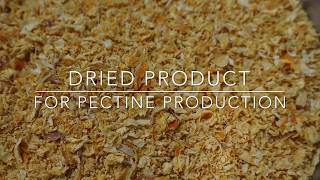 Food Drying Citrus Peel Pulp for Pectine  TEMA Process Fluid Bed Dryers [upl. by Odlaumor]