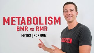 Metabolic Rate Explained  BMR vs RMR [upl. by Ricki]