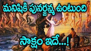 మనిషికి పునర్జన్మ ఉంటుంది సాక్ష్యం ఇదే  Unknown True Story of Reincarnation Shanthi Devi  SumanTV [upl. by Myrwyn]