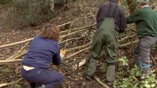 Hedge Laying Training at Jerusalem Farm [upl. by Rfinnej]