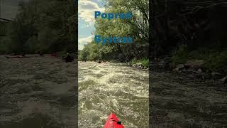 Wodnik Szuwarek  Poprad 1  Bystrza shorts spływy kajaki watersprite kayaking [upl. by Eninahpets]