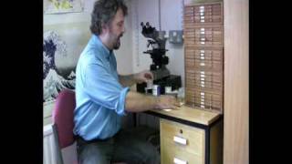 Radiolarian Micropalaeontology Extracting Radiolaria from Sediment [upl. by Ecirpak]