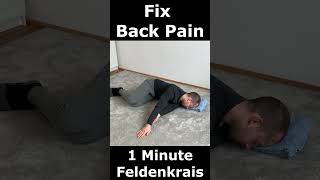 Fix Back Pain in 60 Seconds  1 Minute Feldenkrais [upl. by Milburr]