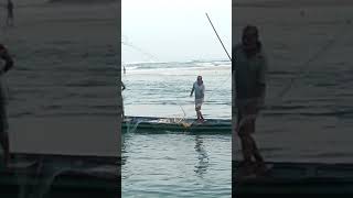 Traditional Fishing on River Mouth of Ramachandi Konark fishing [upl. by Zimmer295]