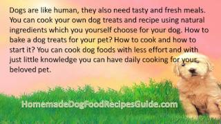 Dog Food Recipes Chicken Mince [upl. by Arima784]