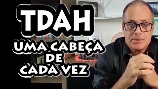 TDAH UMA CABEÇA DE CADA VEZ PART 14 TERAPIA DOS MONSTROS [upl. by Rexer554]