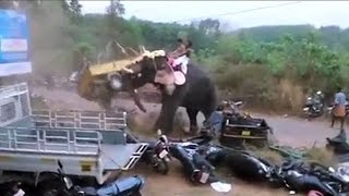 ELEPHANT RAGE ATTACK IN KERALA INDIA  ANGRY ELEPHANT RAMPAGE [upl. by Nagoh438]