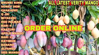 Thai Red Verity Mango Thai Mango Plant Order Online Miyazaki Qjai Chakapat Katimon nam Dog Mai [upl. by Thirzi]