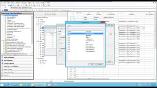 Management Reporter Intro to Reporting Trees [upl. by Willman]