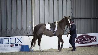 Horse refusing to stand at mounting block meets Richard Maxwell  Your Horse [upl. by Aikyt211]