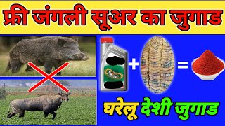 free😱jangali suar bahgane ka jugad  nilgai kaisi hoti hai  Desi Jugad  nilgai bhagane ka tarika [upl. by Deacon28]