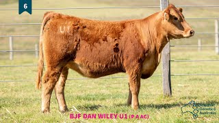 Lot 6  BJF DAN WILEY U1 P A AC [upl. by Frechette]