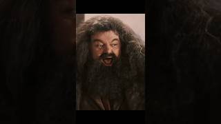 Hagrid is confusing harrypotter hogwarts hagrid funny [upl. by Cyril704]