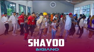 Shayoo  Bigiano  Dance choreography  Thee vibe dance academy ke [upl. by Frissell]