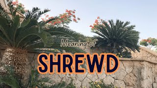 What is the meaning of Shrewd [upl. by Ahaelam]