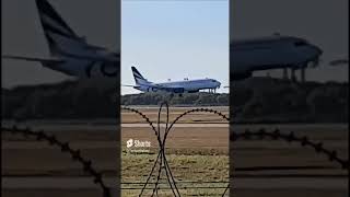 Rex 737800 Landing BNE brisbaneairport planespotting aviation regionalexpress [upl. by Shue]