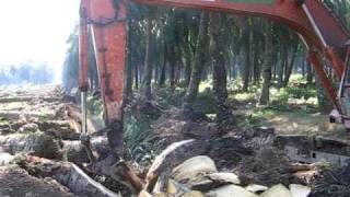 Kelapa Sawit  Chipping Process of Oil Palm [upl. by Anilev]