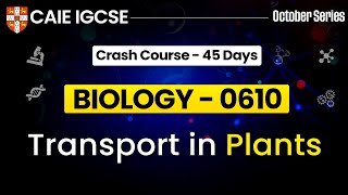 IGCSE Biology 0610  Transport in Plants IGCSE  Cambridge IGCSE Biology  IGCSE Biology [upl. by Drusilla848]