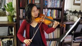 Perpetual Motion Violin Duet Suzuki Bk 1  Play Along [upl. by Pickens850]